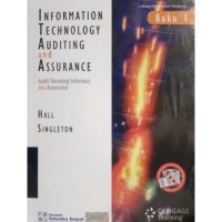 Information technology auditing and ansurance